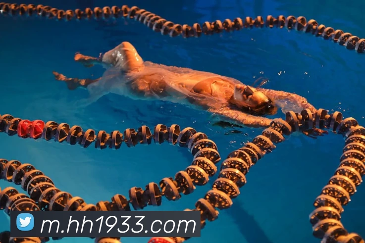 火狐体育官网首页发展历程